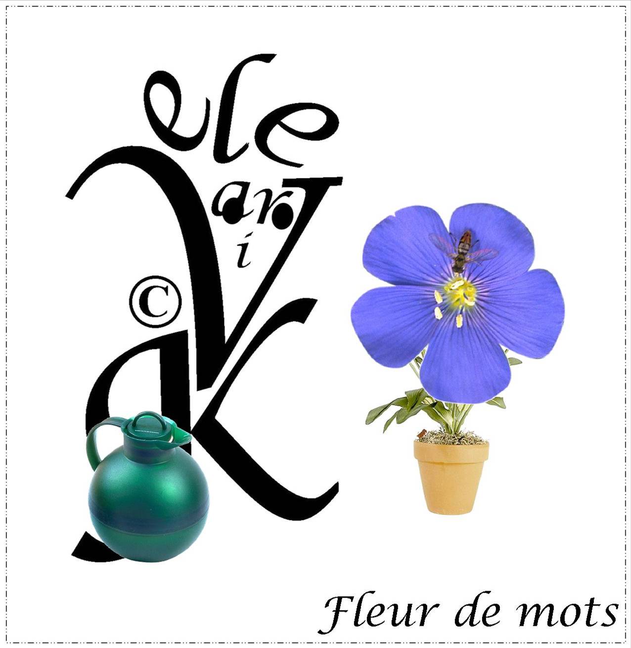 Fleurs de mots